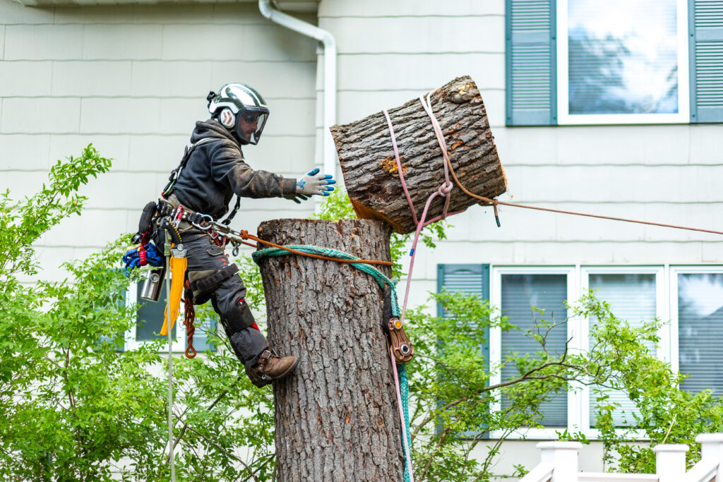 Commercial Tree Service Clients in Decatur, IN
