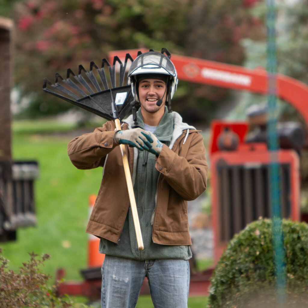 Tree Service Clients in Decatur, IN