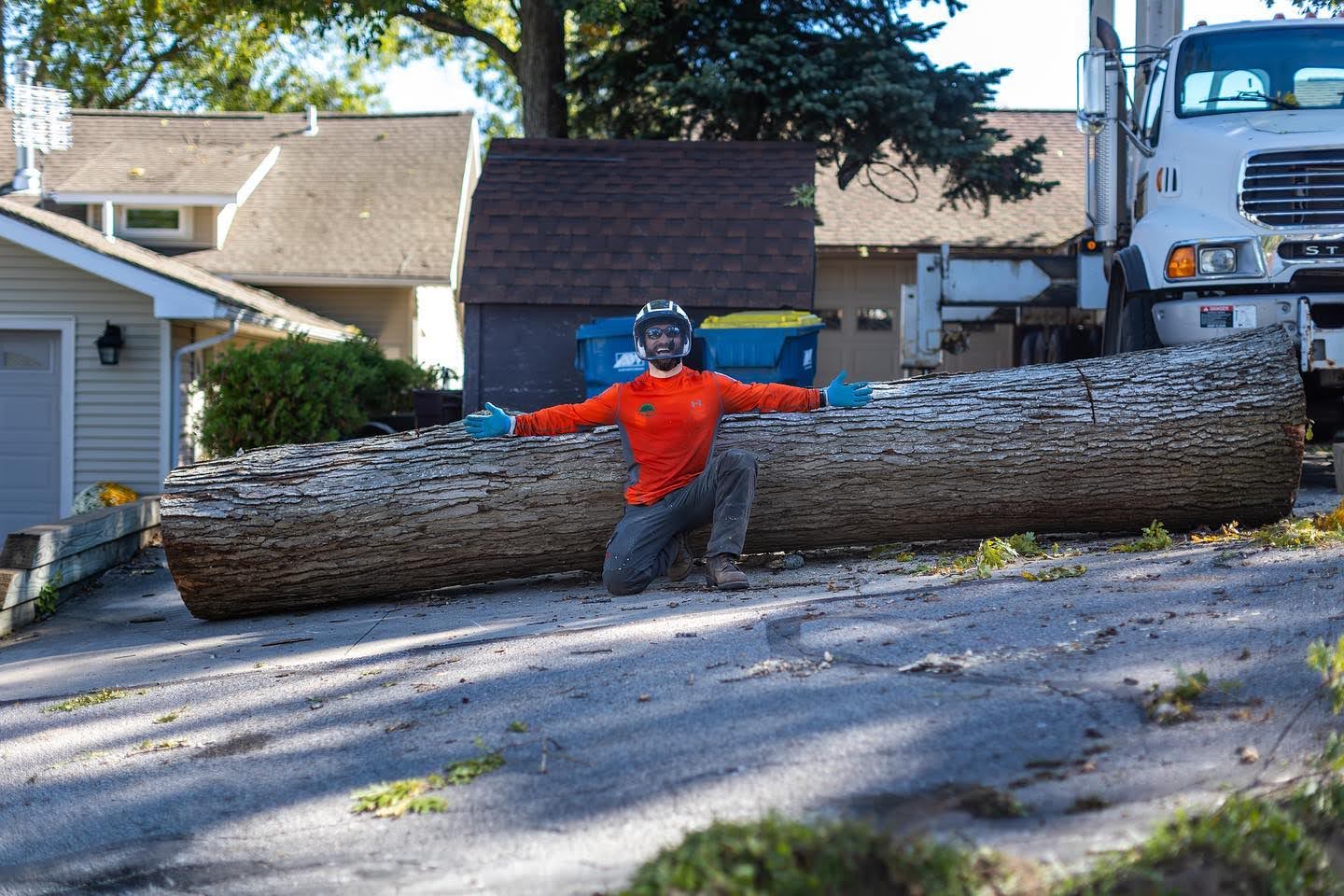 expert tree removal in albion in transforms a clients home