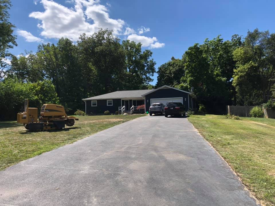 professional tree removal in albion in